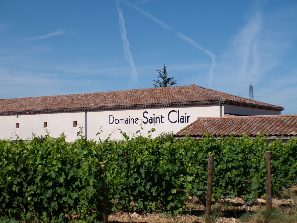 Guided tour and tasting of Crozes-Hermitage