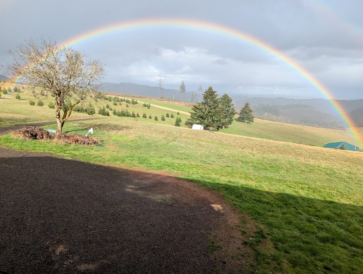 Experience a cow’s life