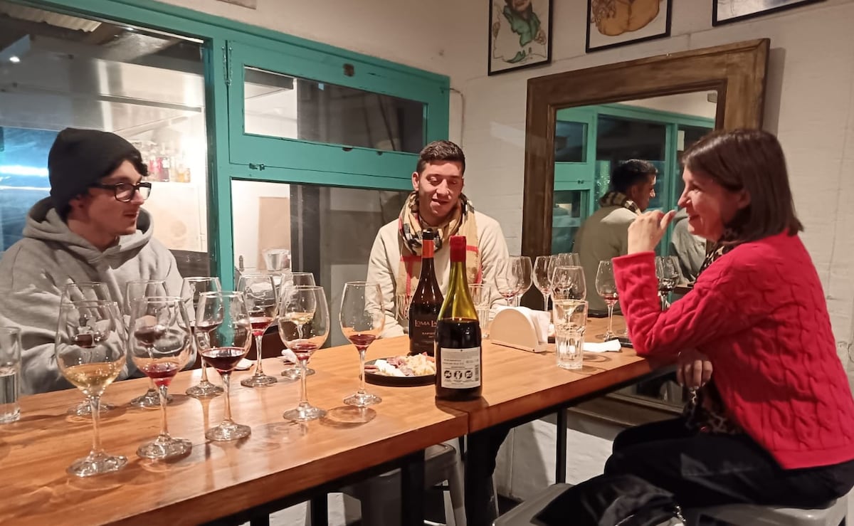 Taste Uruguayan signature wines in Punta del Este