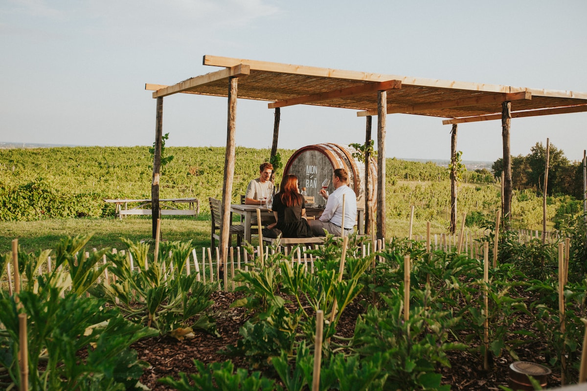 Wines, cured meats, and cheeses in the Prosecco hills