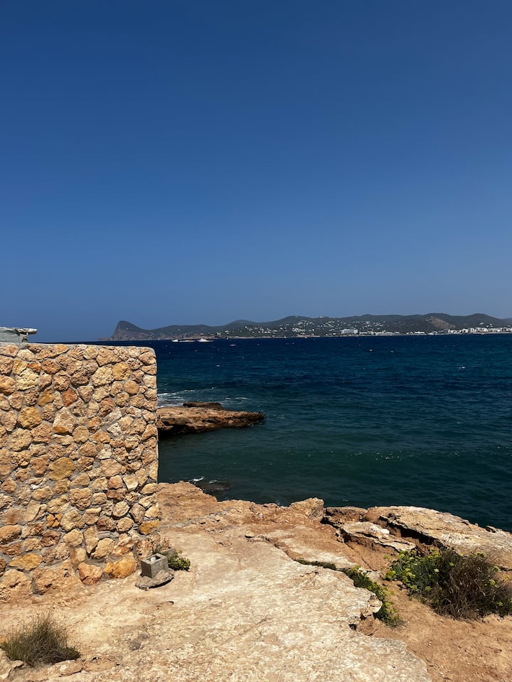 იბიცის ფარული მხარე: საჭმელი და გართობა