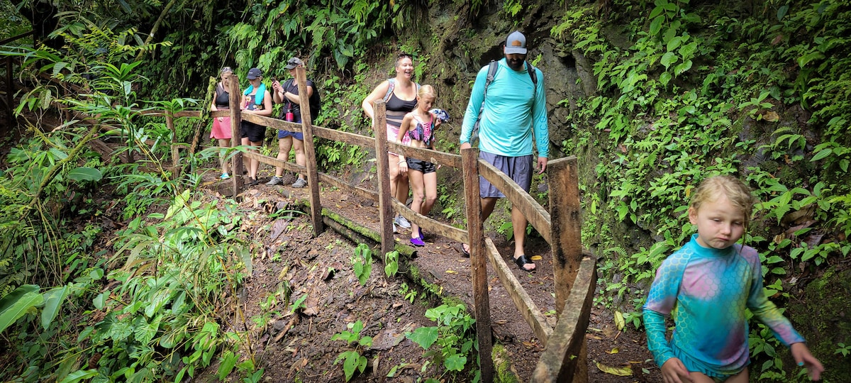 Guided jungle hike to hidden waterfalls