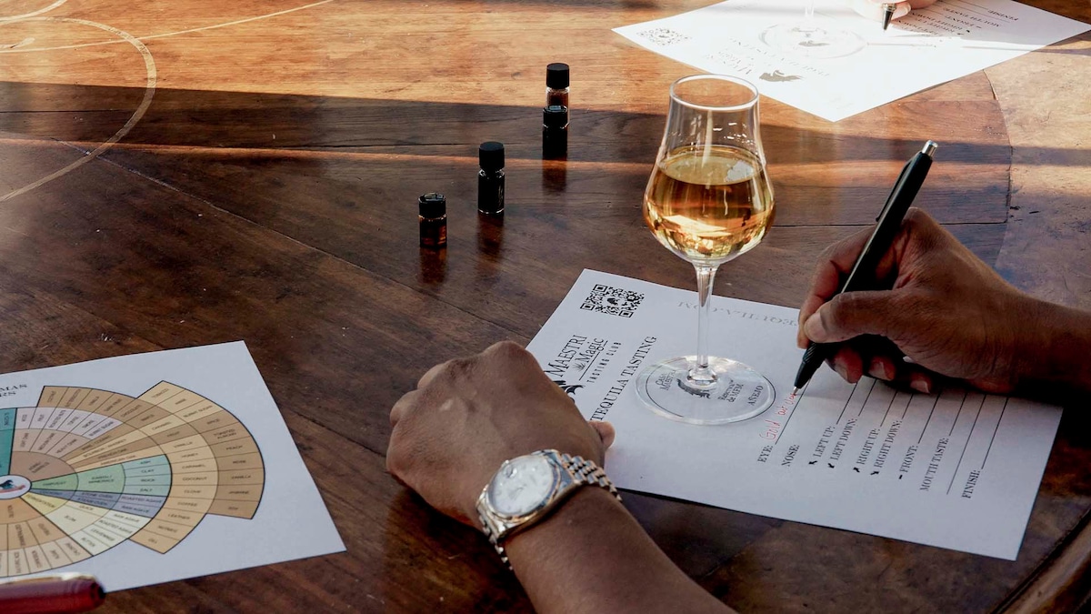 Sip & savor: Premium tequila tasting experience