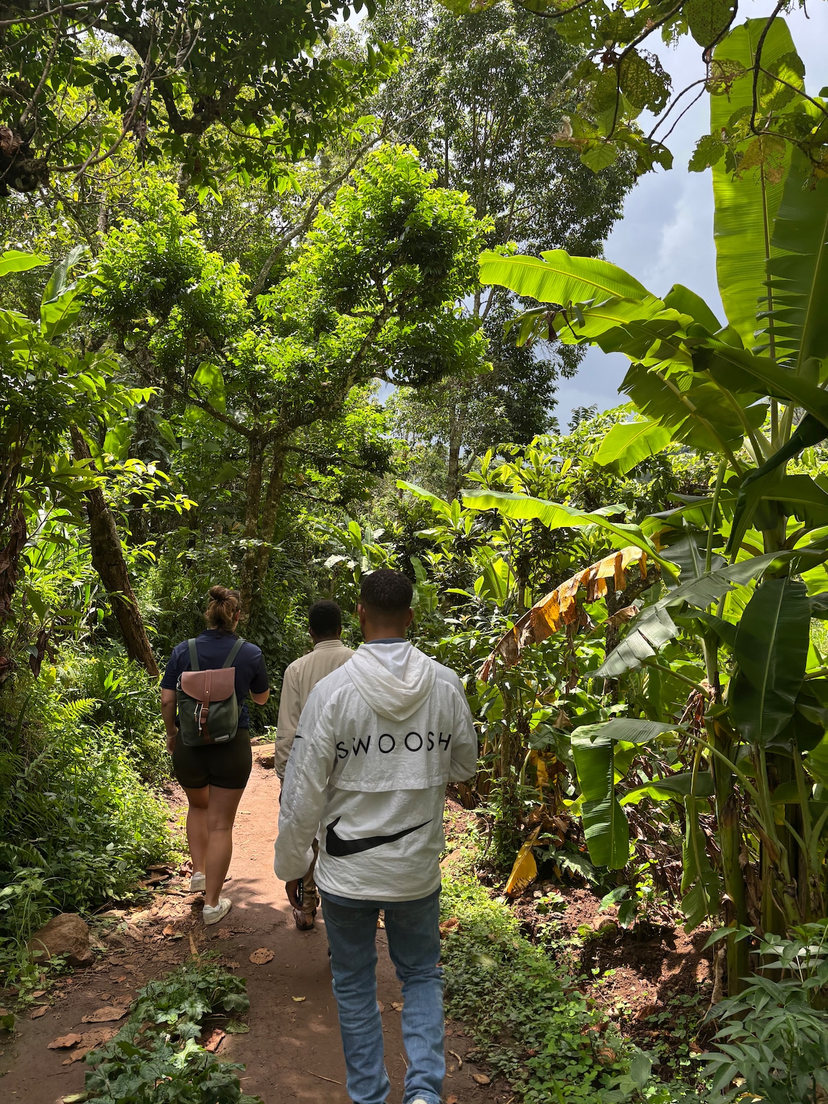 Materuni Waterfalls, Coffee Tour & Hotsprings