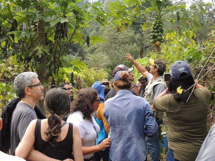 Turismo Rural com Natureza e Fruticultura
