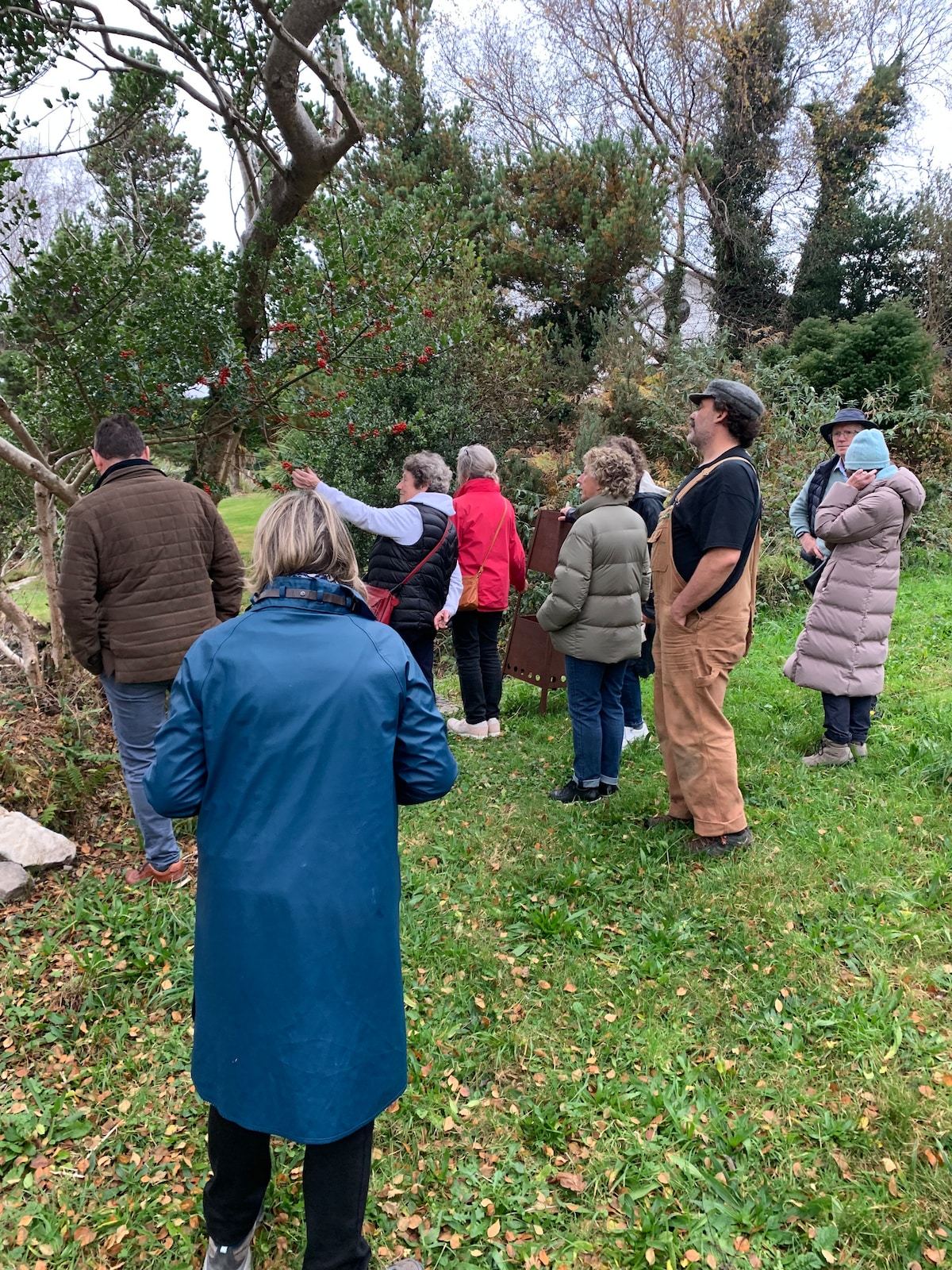 Guided Irish temperate rain forest and garden walk