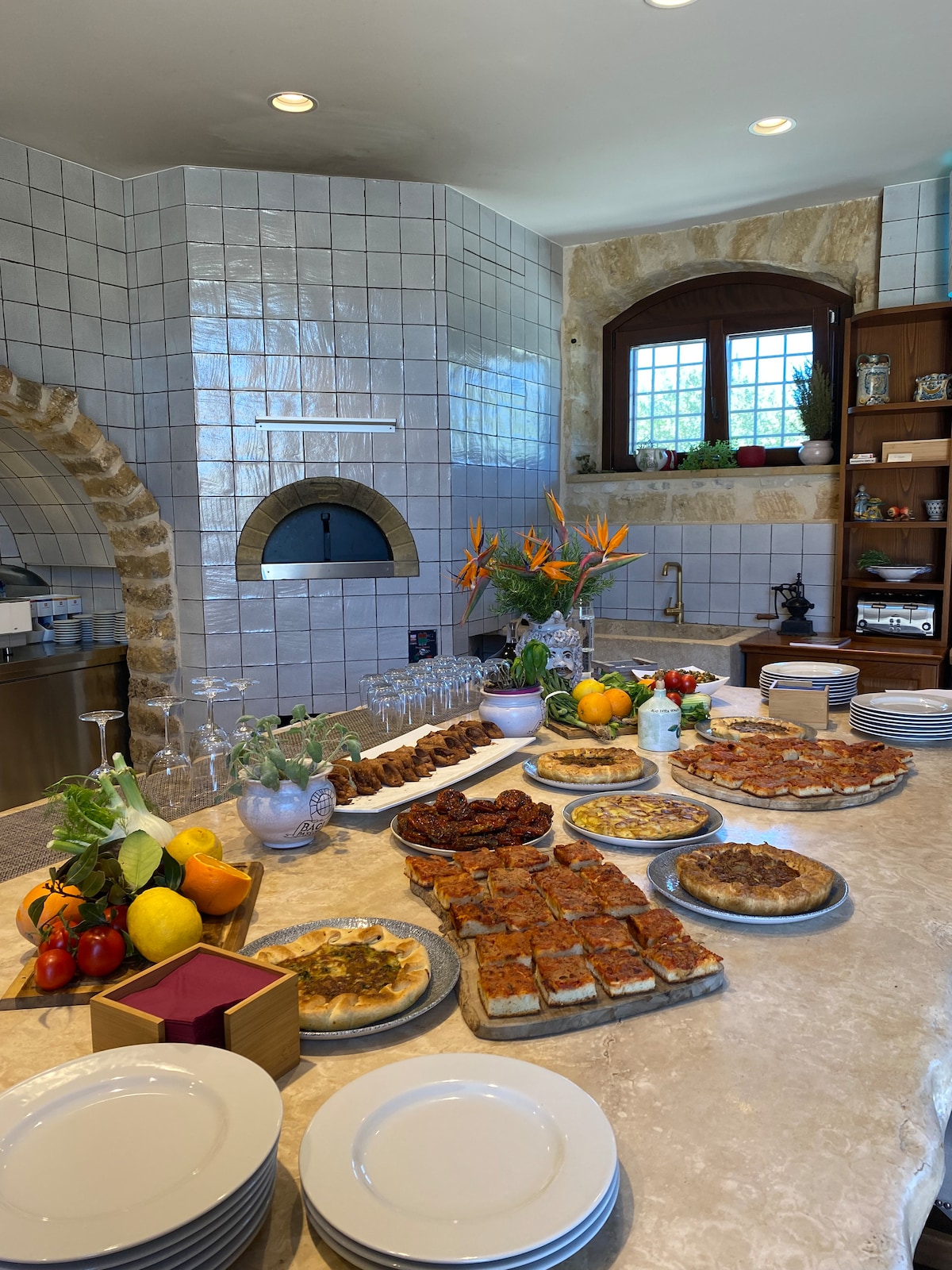 Olive grove walk and tasting