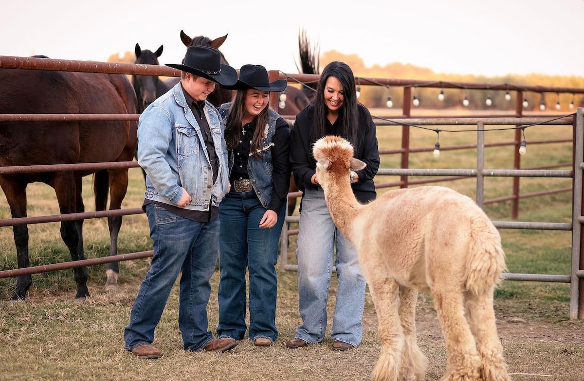 Tea party with alpacas at a farm animal sanctuary