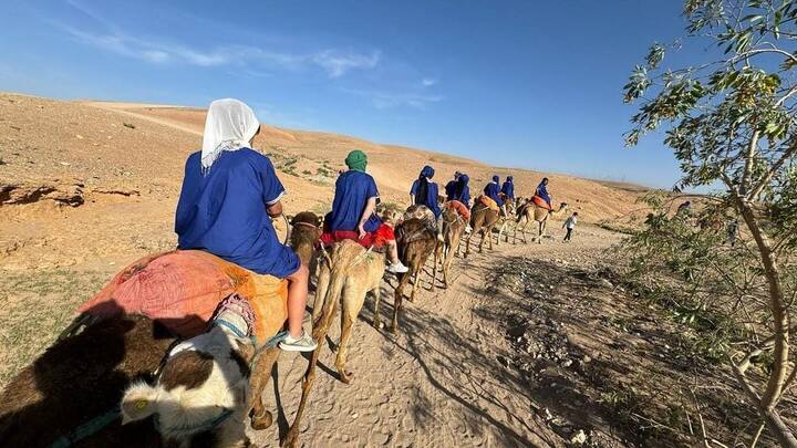 ერთდღიანი ექსკურსია: ურიკის ხეობაში