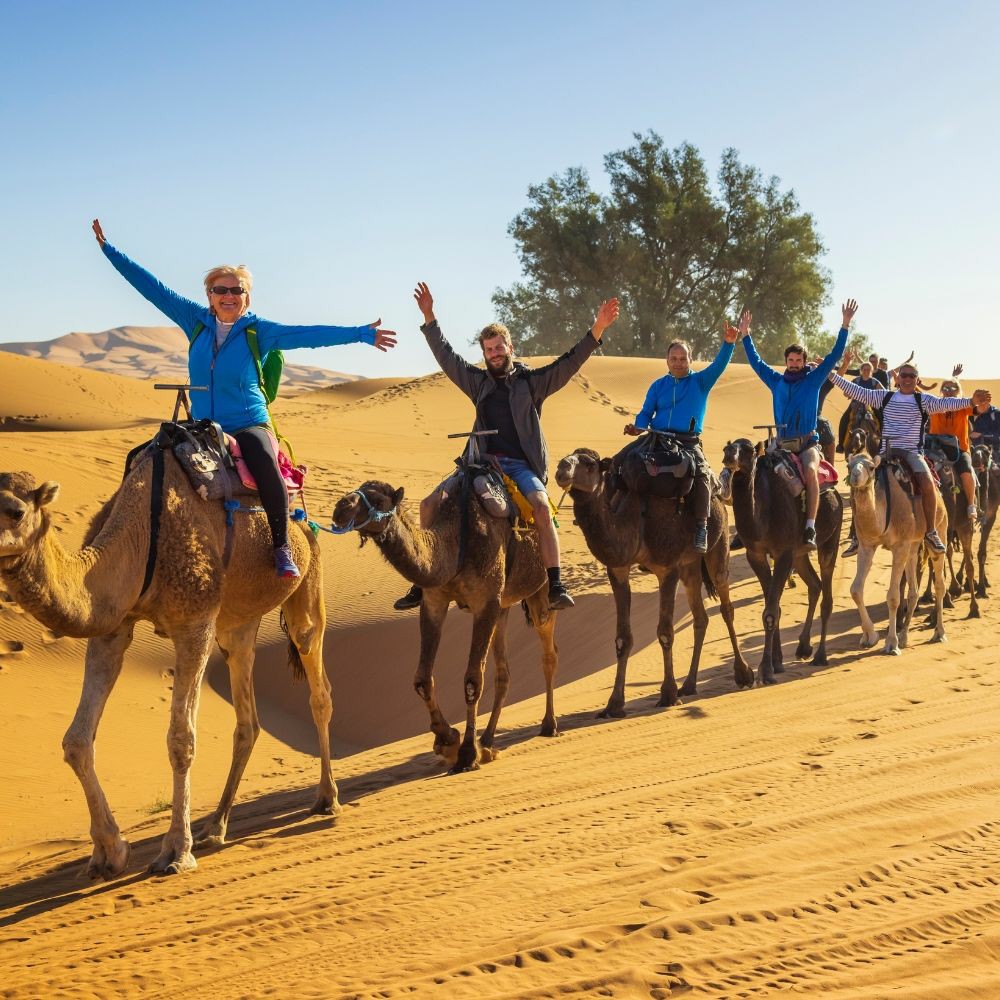 Explore Merzouga by camel with a guided ride