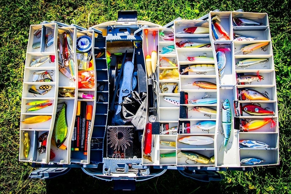 Catch a Fish – Guided Sustainable Coastal Fishing