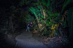 Caminata Nocturna en Arenal y Clases de Cocina