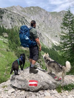 Caminata privada guiada en los Alpes de Viena