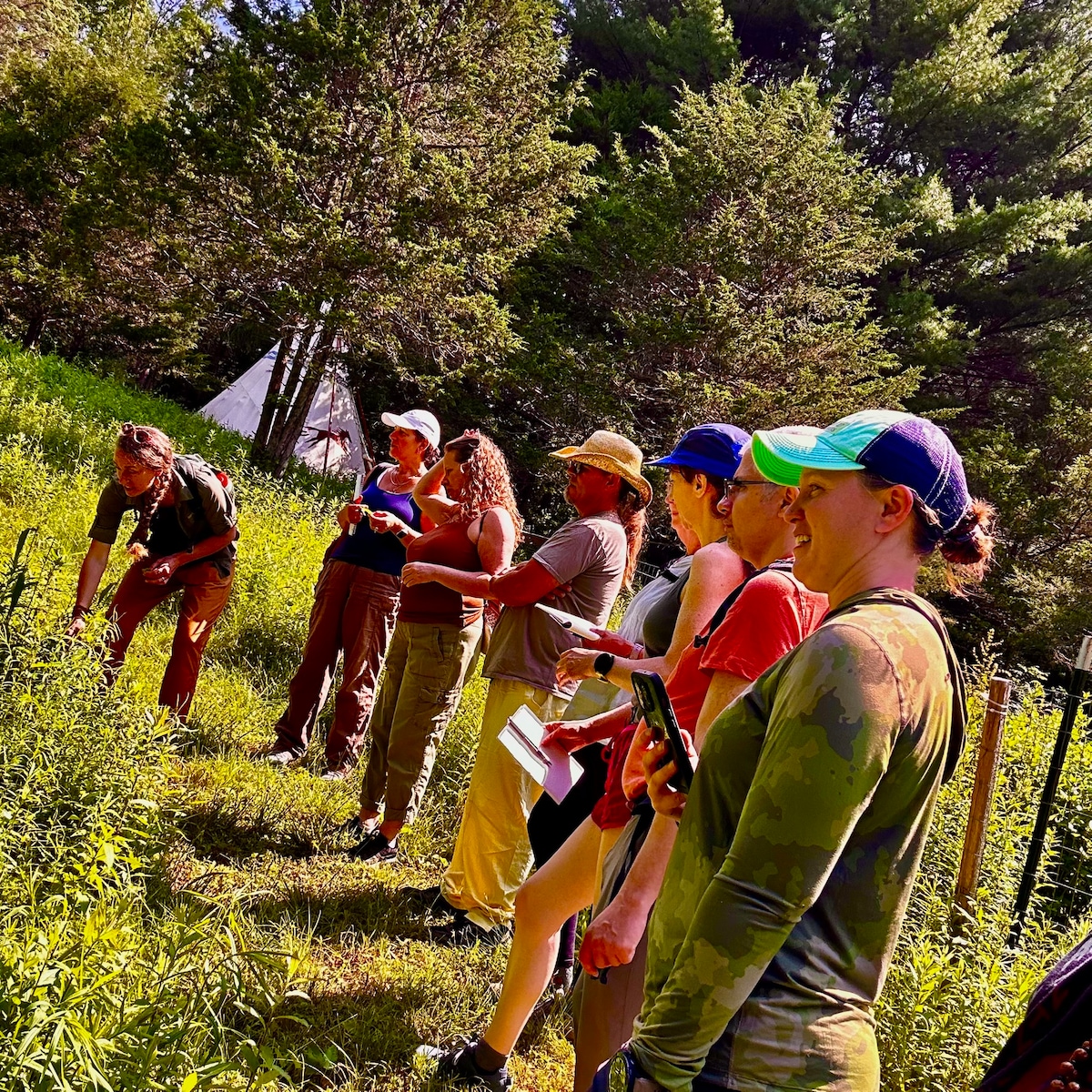 Edible and medicinal plant walk