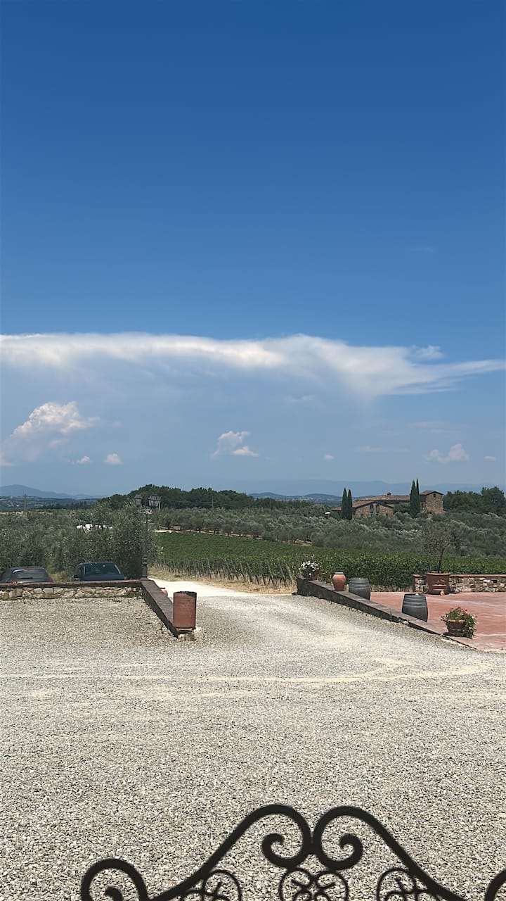 Ziara ya mvinyo na chakula huko Florence, Tuscany, Italia