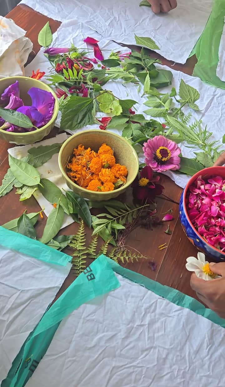 Оцветяване с природни багрила: бавен ритуал на трансформация