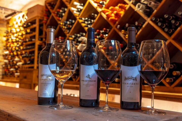 Რომელი ციდან - ღვინის კერძო დეგუსტაცია