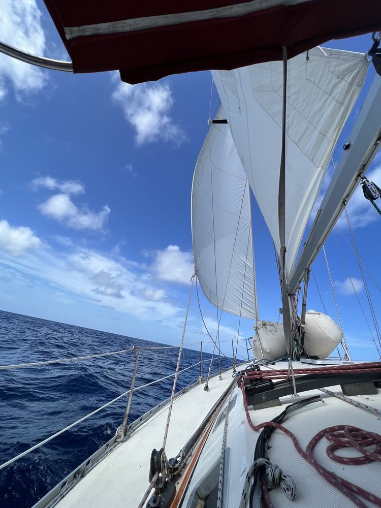 Ft Lauderdale Sailing Adventure