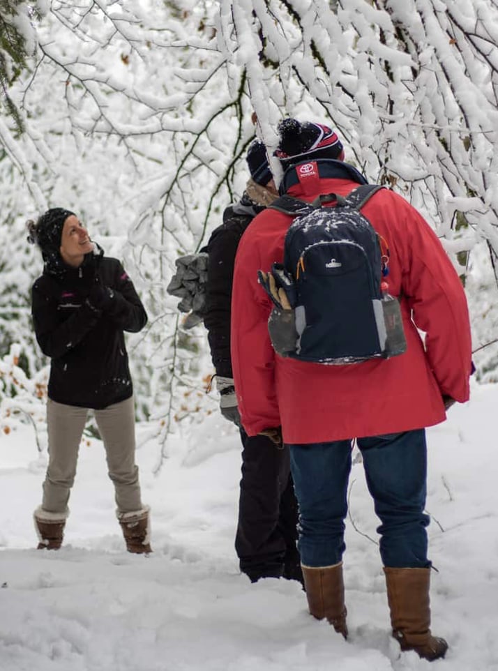 Join a forest bath or shinrin-yoku