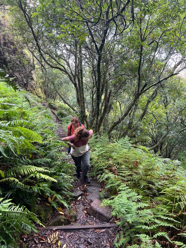 Изживяване в планината Табла с Ruminate Travel