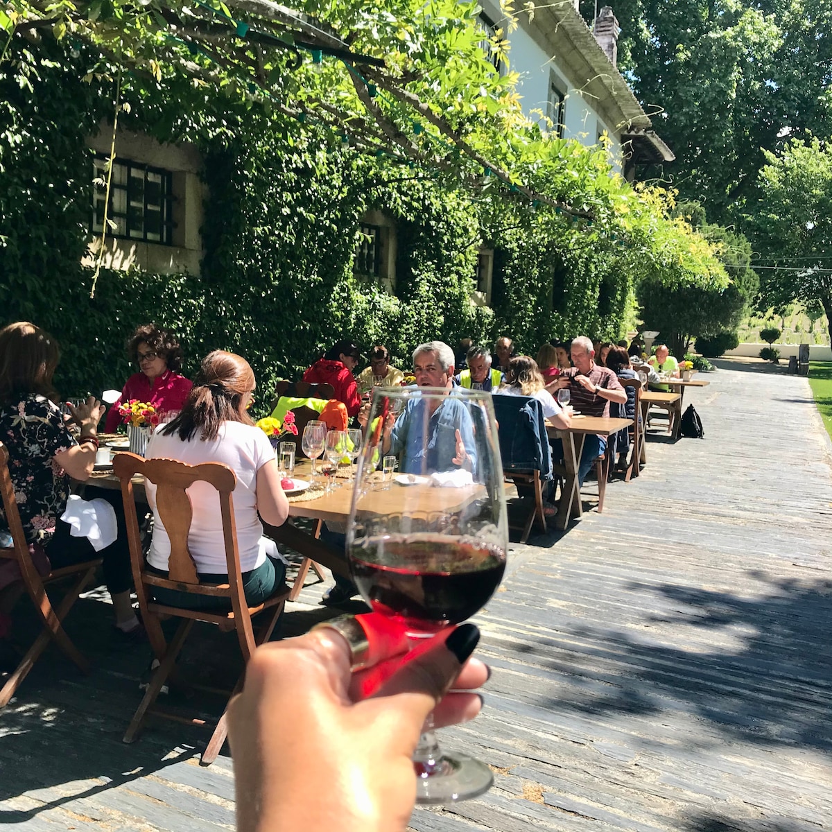 Experience of walk & lunch at Quinta da Pacheca