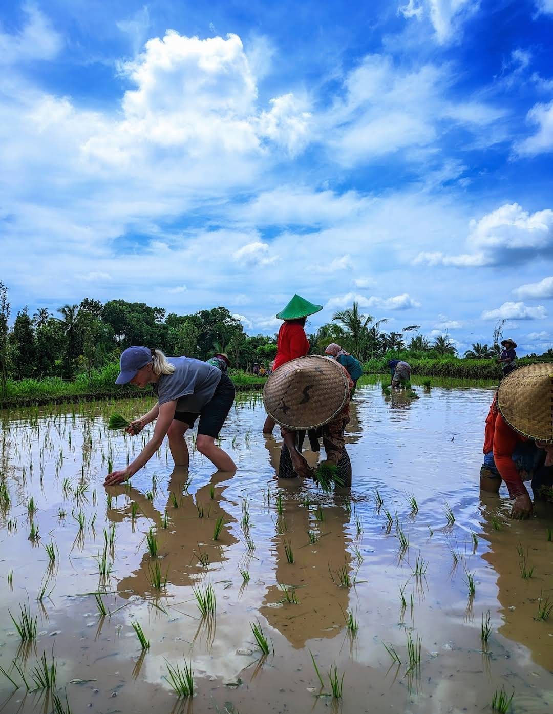 Discover Tetebatu: Nature & Culture Walk