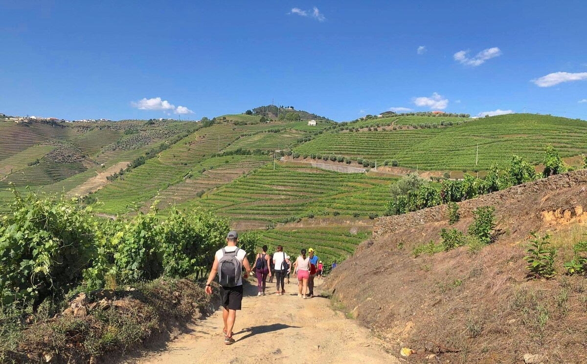 Adventure in Douro challenging hike & local picnic