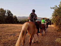 Descubre Karytaina a caballo