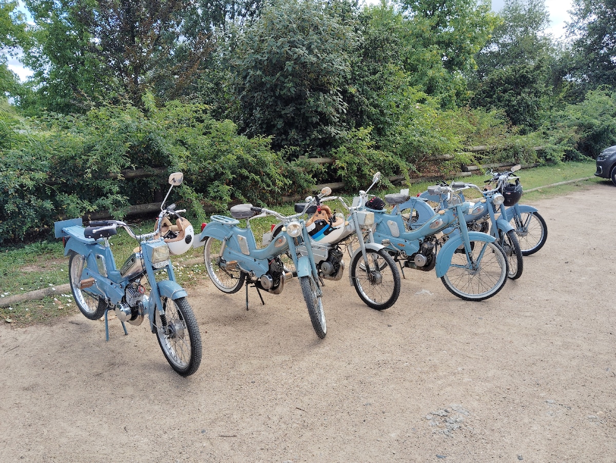 Discover the Forez in an unusual way