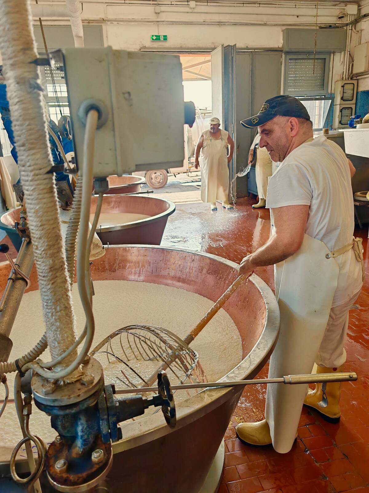 Parmigiano Reggiano Tour & Tasting from Cremona