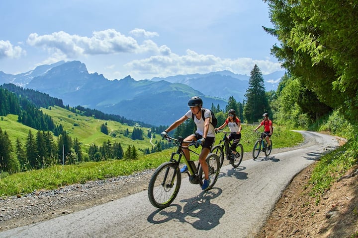Открийте лозята на Лаво, част от ЮНЕСКО, с електрически велосипед