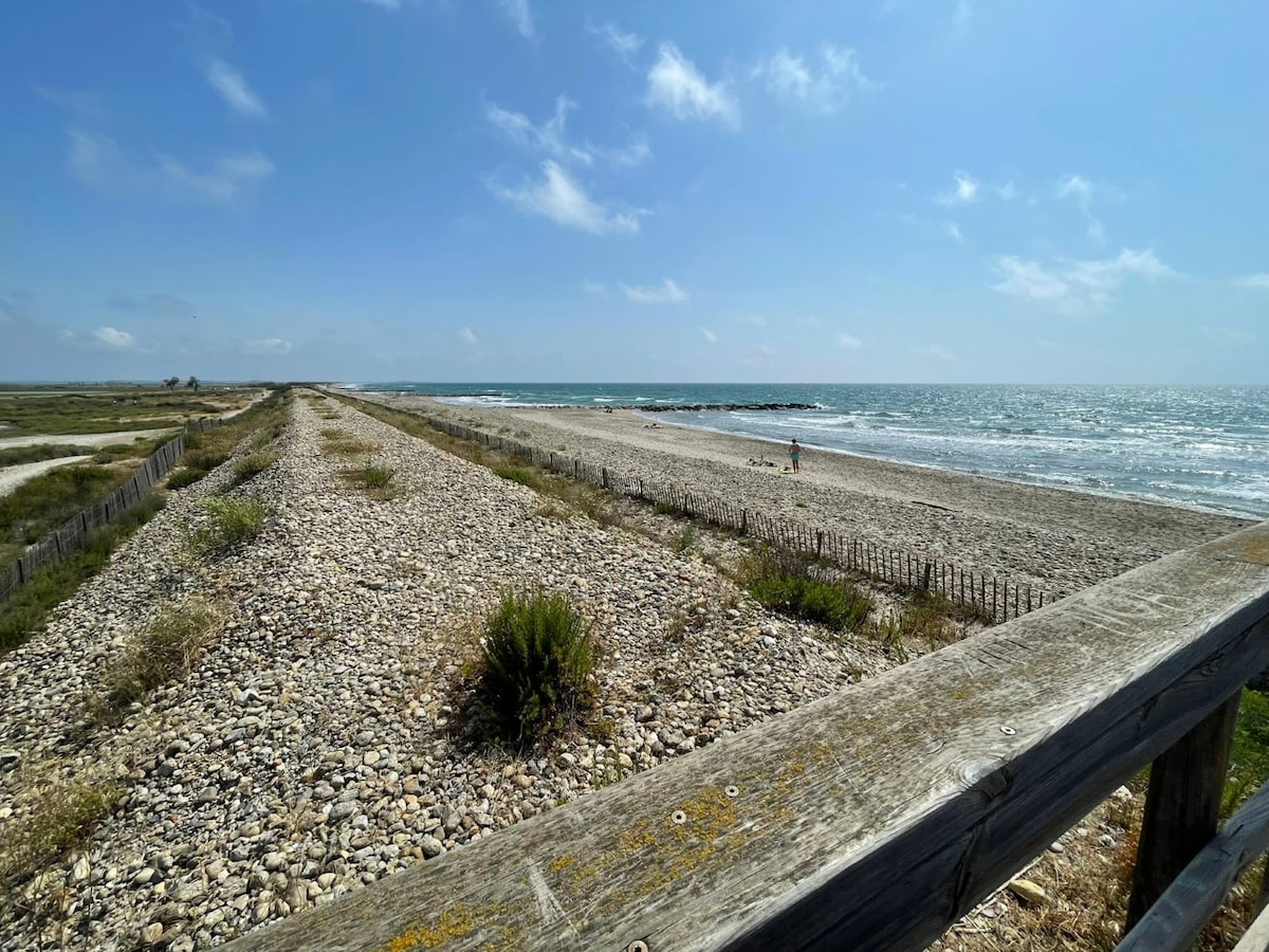 Seaside and Pink Flamingo  -Frontignan Beach-