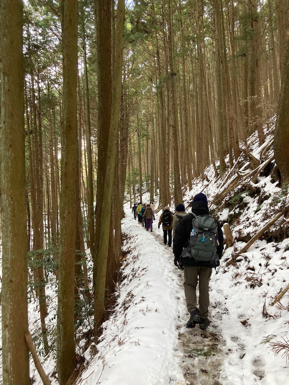 Discover Hidden Treasures In Wakayama