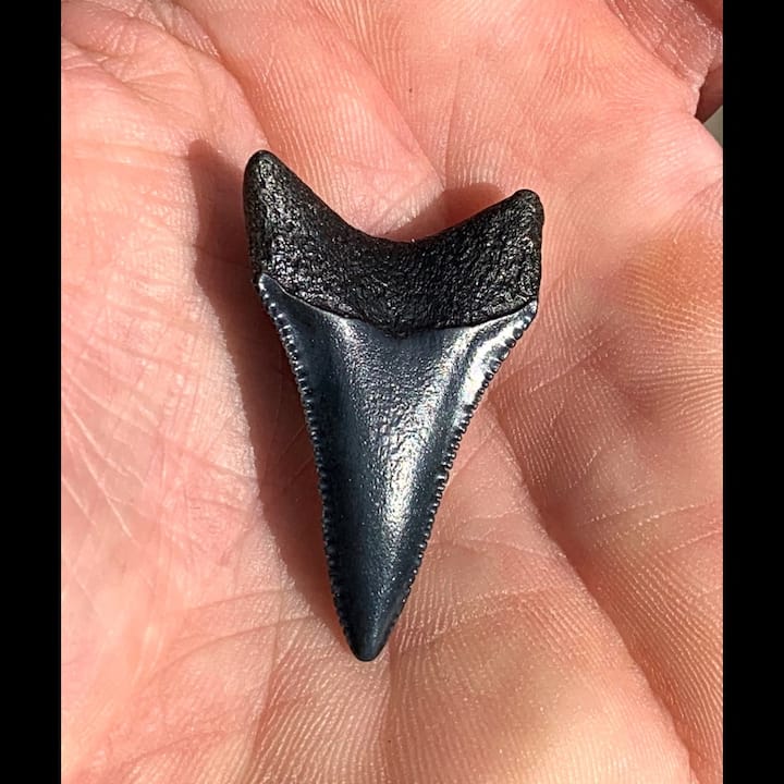 Piscinas naturales y vistas a la montaña, un tour guiado por la naturaleza