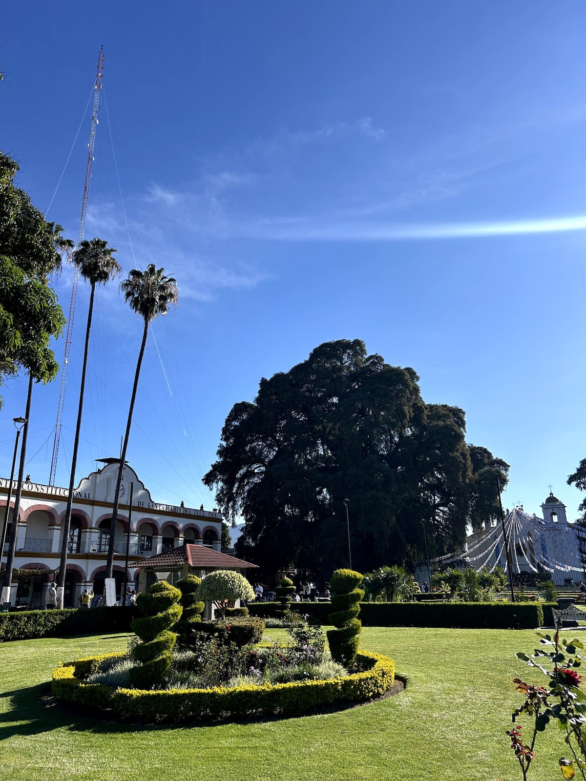 Explore the Wonders of Oaxaca