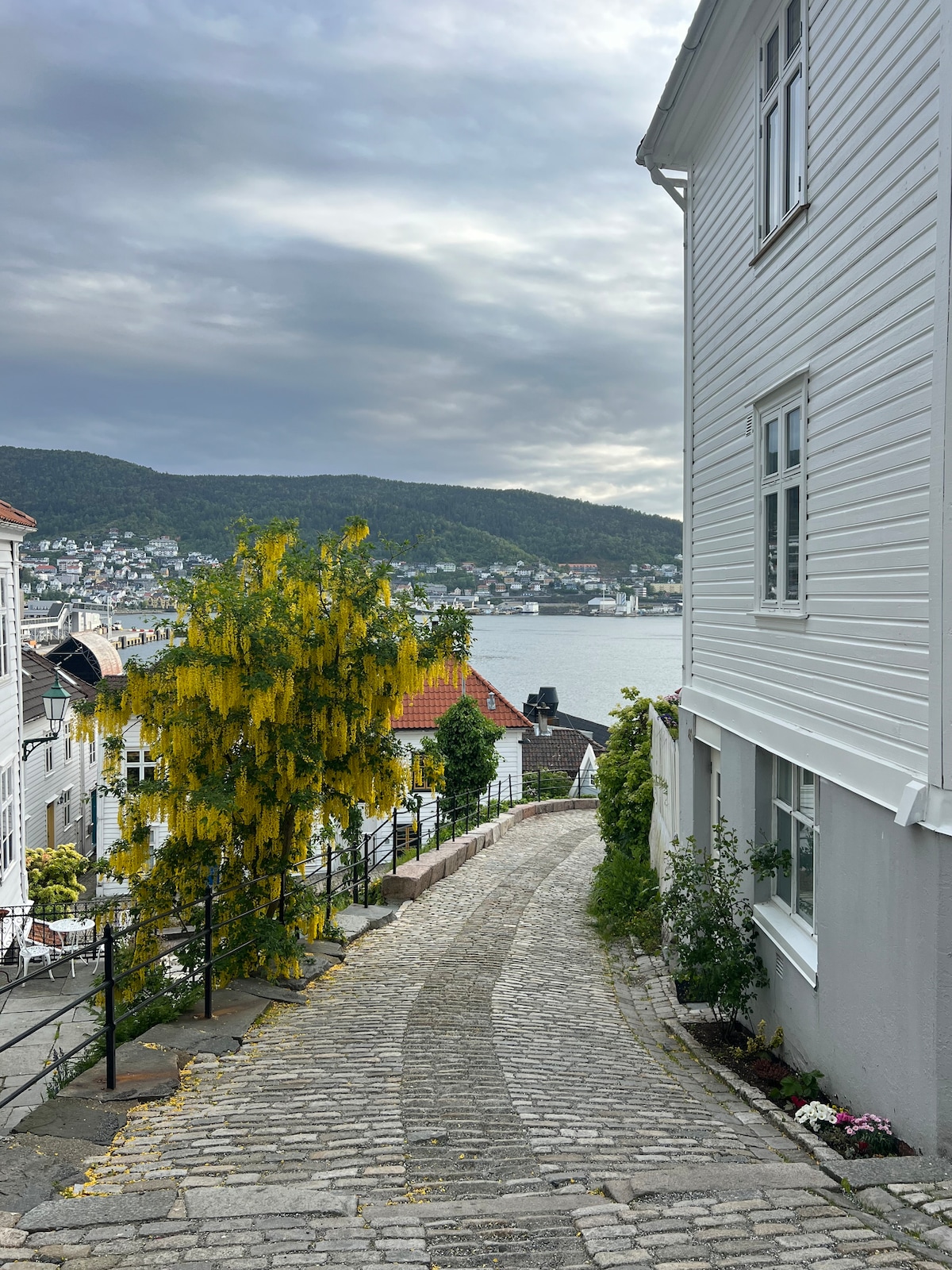 Bergen on foot with a local guide