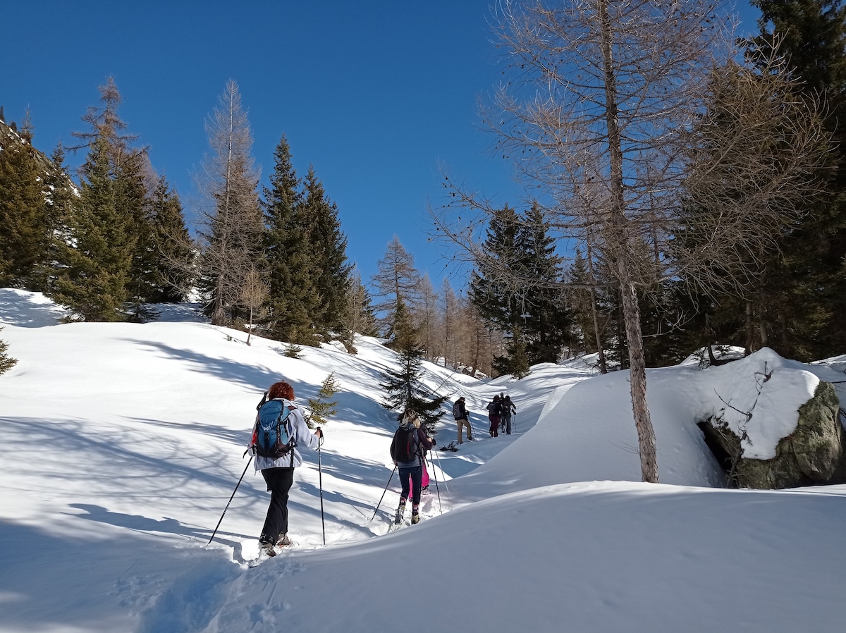 Unusual snowshoe walk