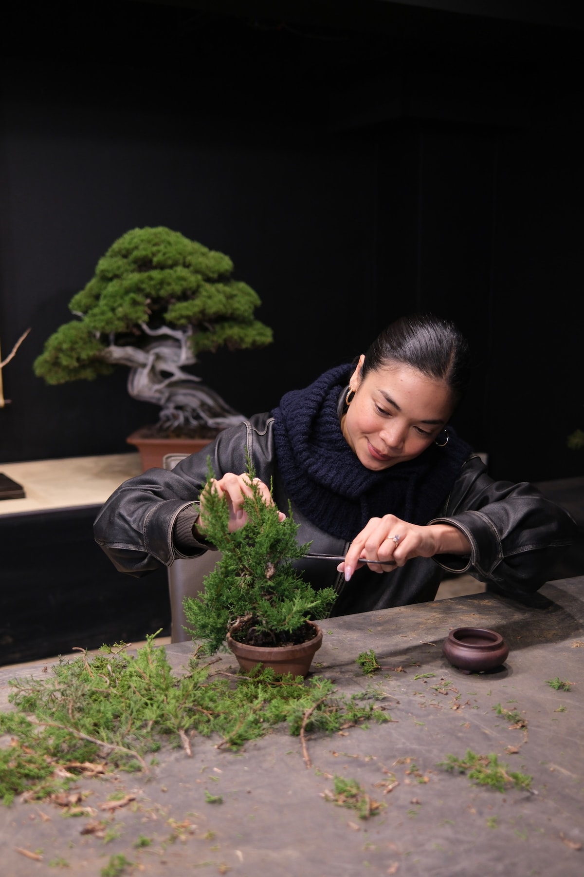 Create your own Bonsai in Shibuya