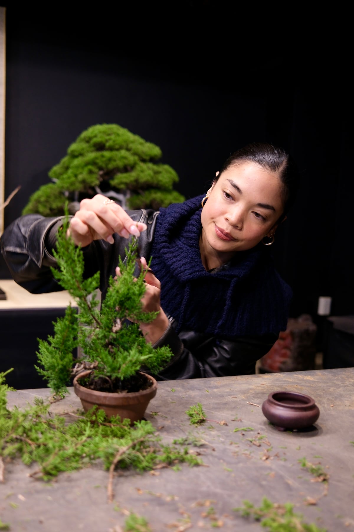 The Art of Mindful Bonsai in Shibuya