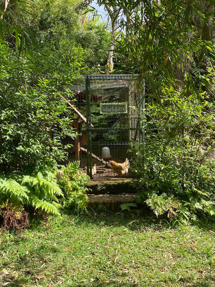 Lugina e Lumtur, një kopsht autentik kreol