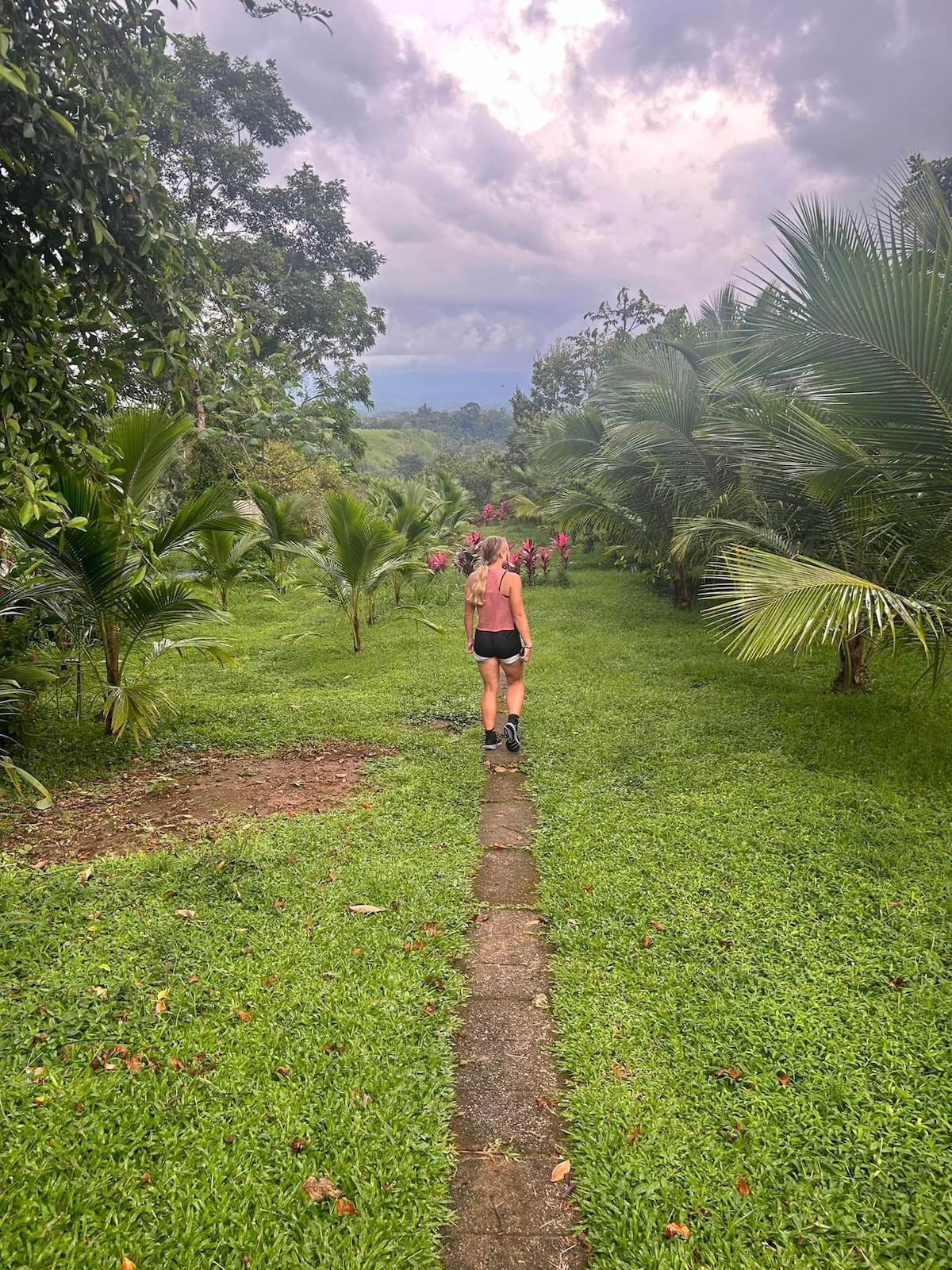 Exotic Fruit Tour on Permaculture Farm