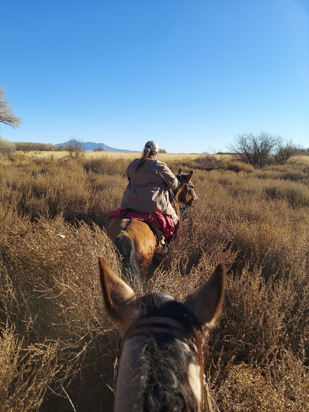 Ride a piece of history along the San Pedro River