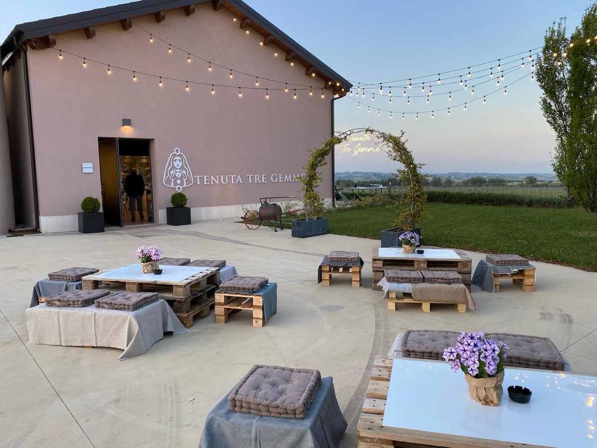 Taste organic wines and visit our winery