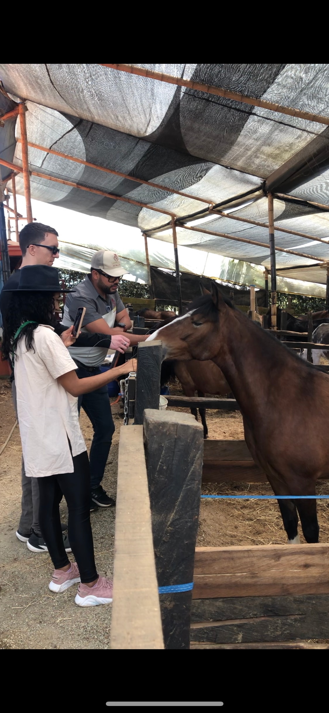 The Milk Route and Farming Experience