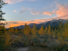 Canmore Stargazing and Evening Nature Walk 2hr