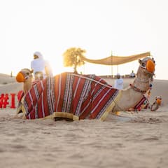 חוויית ספארי מדברי פרימיום בדובאי