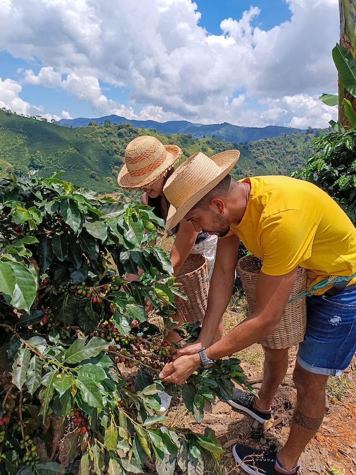 The Manchuria coffee tour
