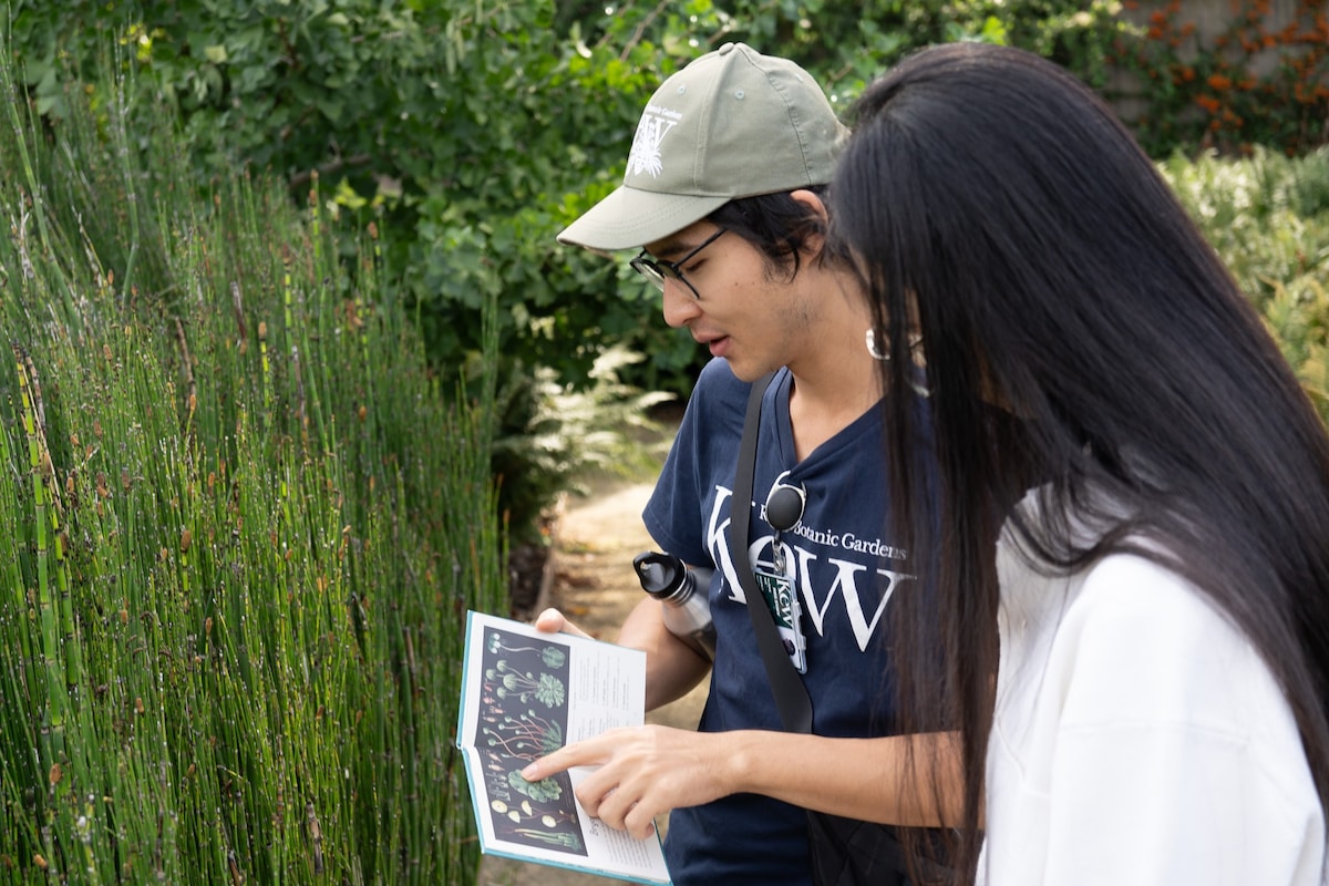 Explore Kew’s Iconic Palm House