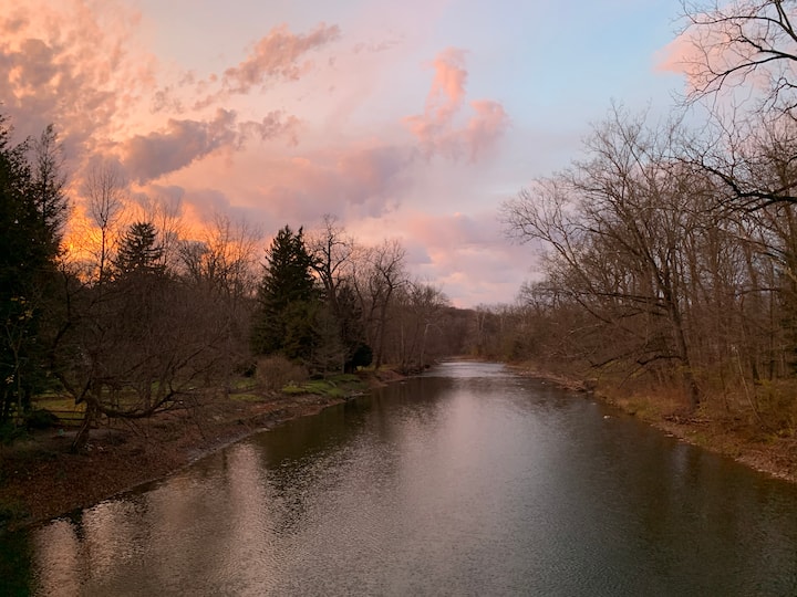Hidden Chagrin River: river hikes & forest bathing