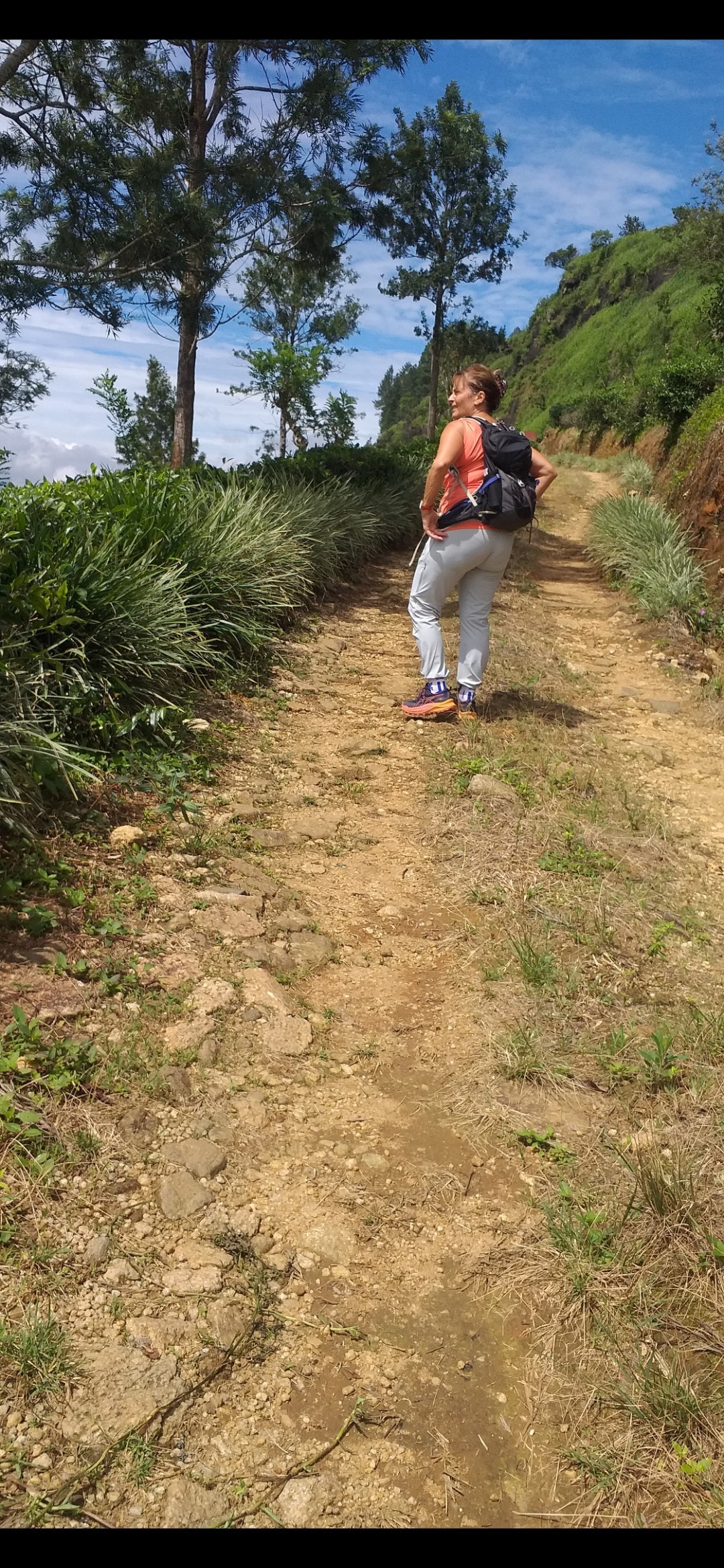Soft trekking Through a tea garden knuckles range